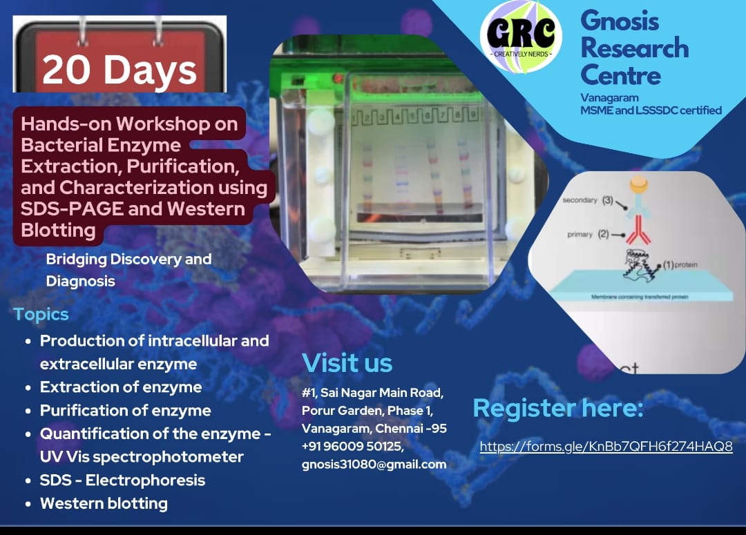 Bacterial enzyme extraction workshop brochure